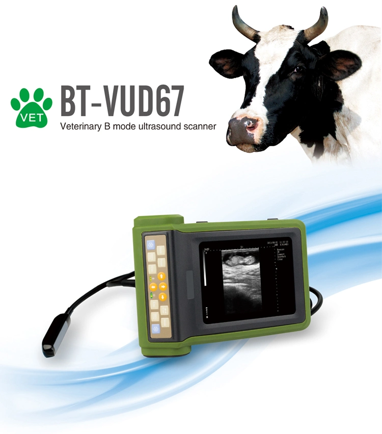 Bt-Vud67 Portable Full Digital Pet Veterinary Ultrasound Scanner Machine